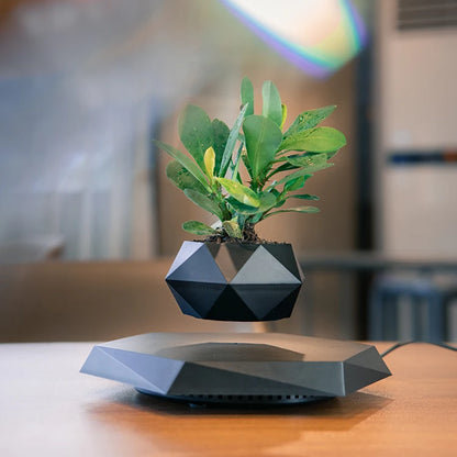 Magnetic  Flower Pot™