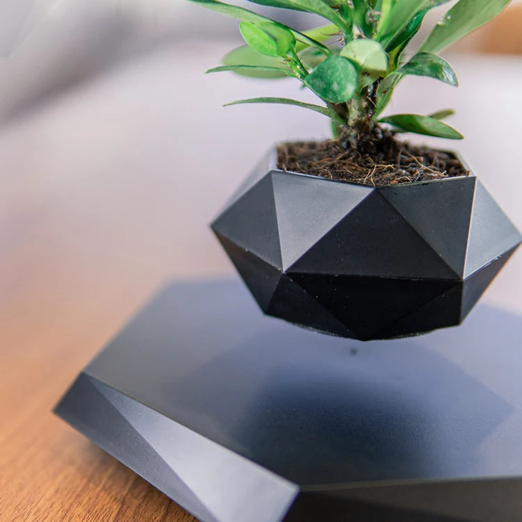 Magnetic  Flower Pot™